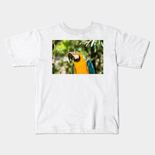 hbs blue macaw Kids T-Shirt
